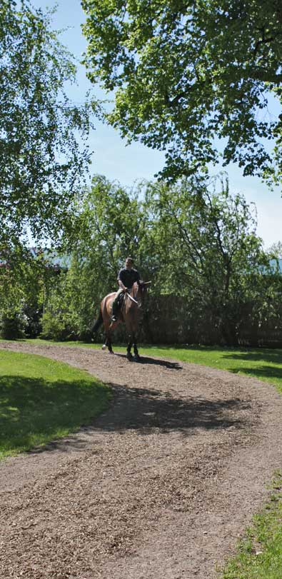 Reitstall_Homeimage